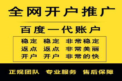 某电商平台SEM竞价广告的转化率提升案例